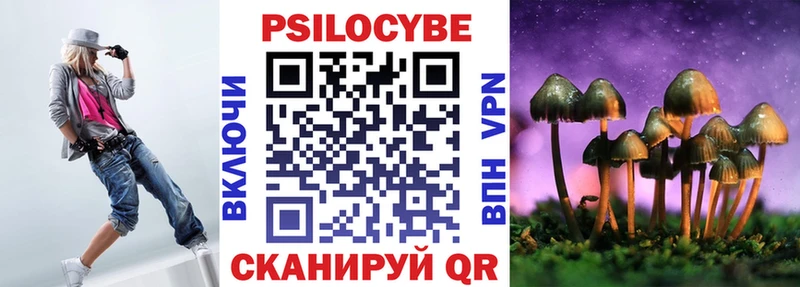 Купить где  Черкесск  Псилоцибиновые грибы мицелий 